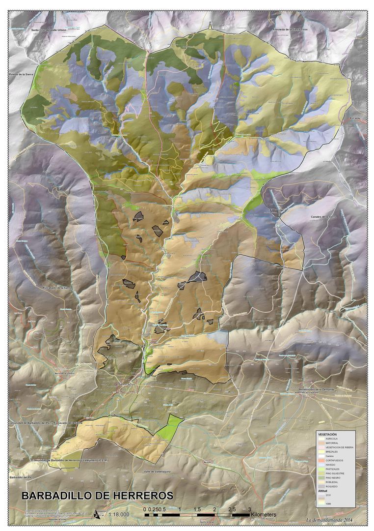 Mapa Vegetación y toponimia