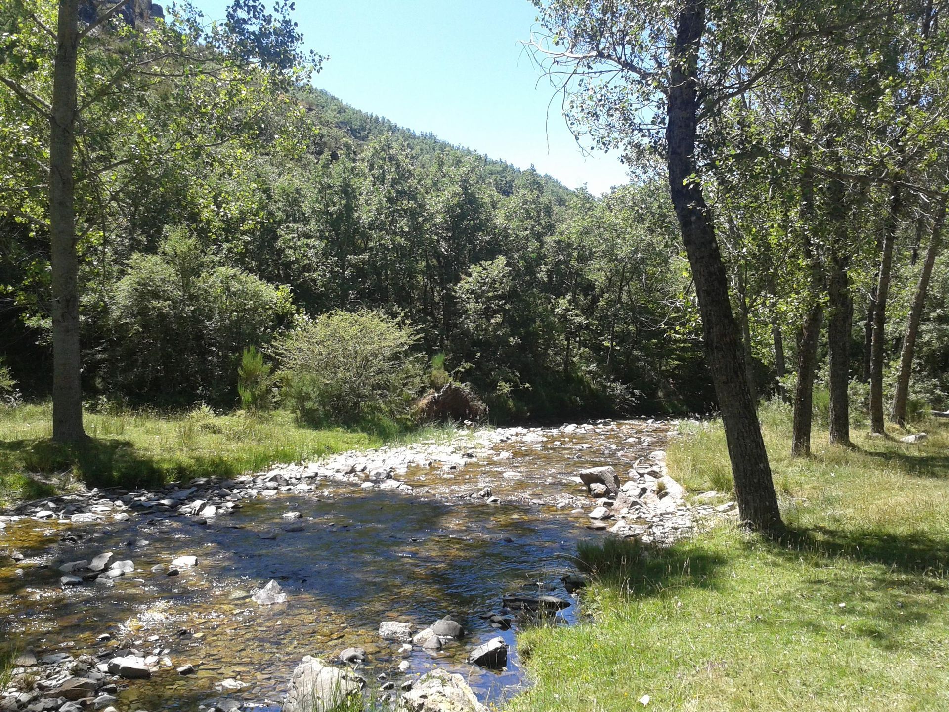 Reserva fluvial Cabecera del Río Pedroso