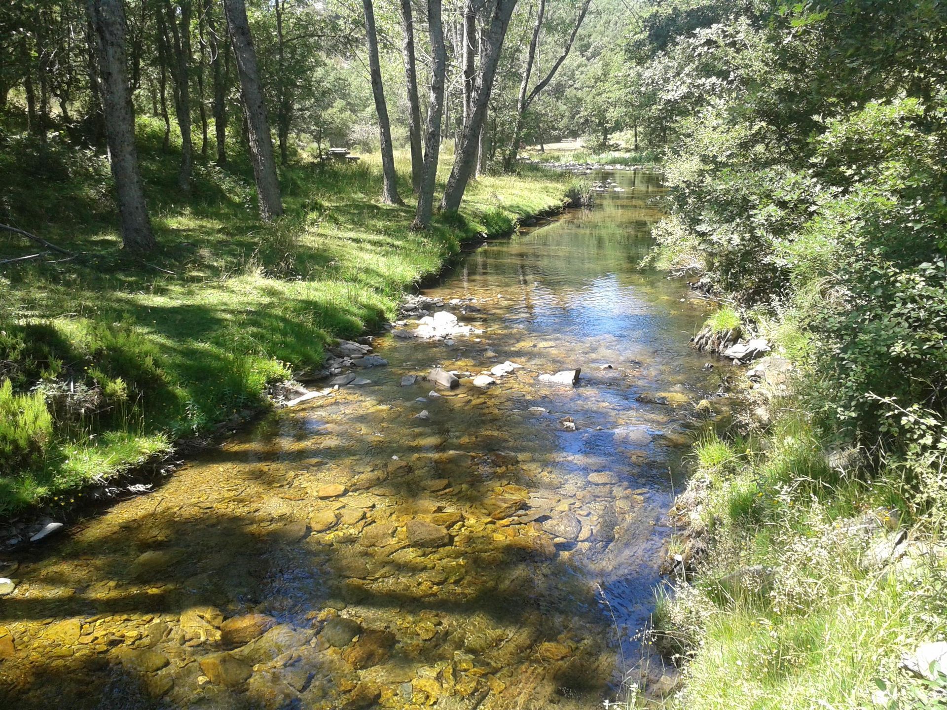 Reserva fluvial Cabecera del Río Pedroso