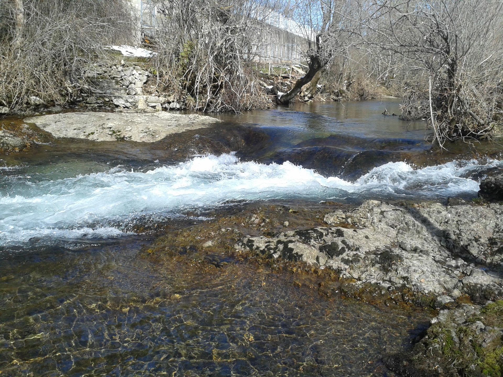 Reserva fluvial Cabecera del Río Pedroso