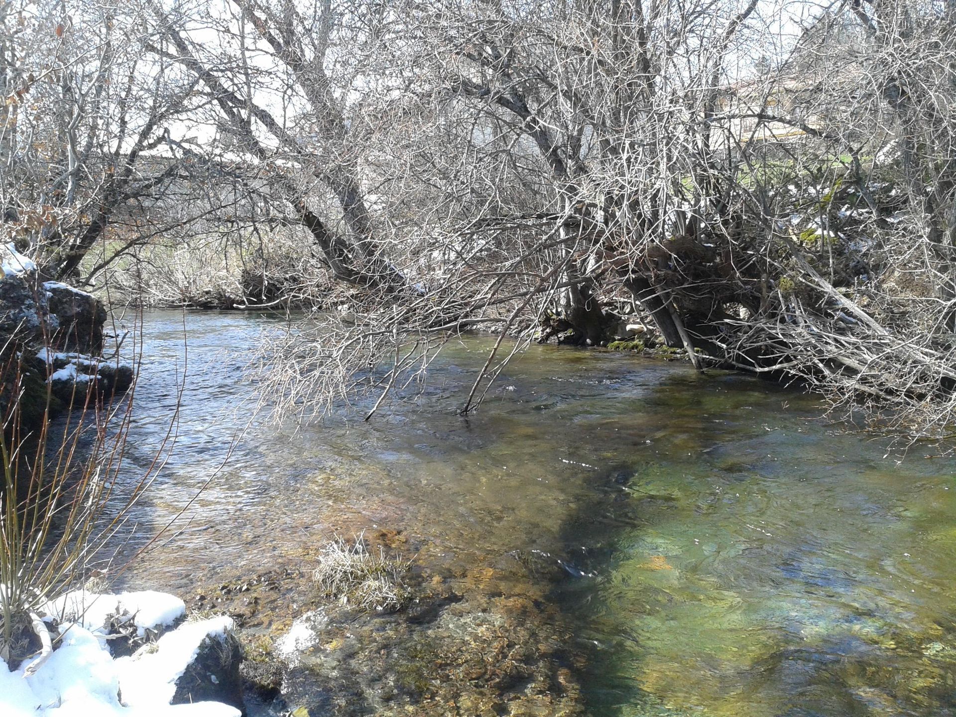 Reserva fluvial Cabecera del Río Pedroso