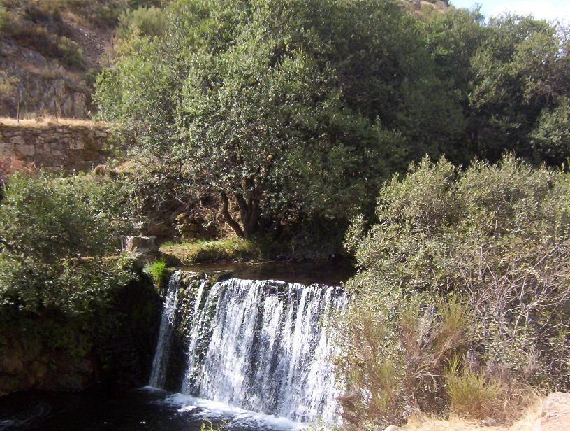 Reserva fluvial Cabecera del Río Pedroso