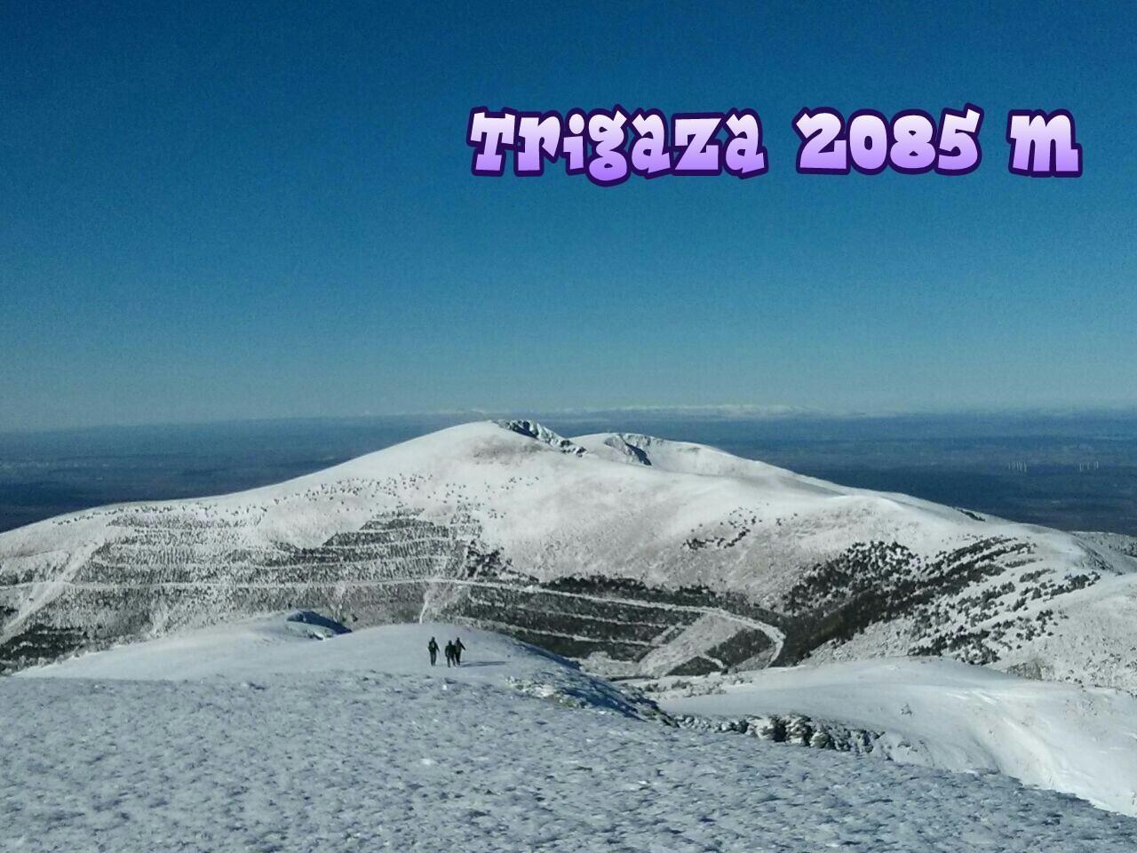 Fotografía de la galería de imágenes con id: 936